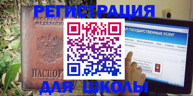 прописка для школы в Нововоронеже